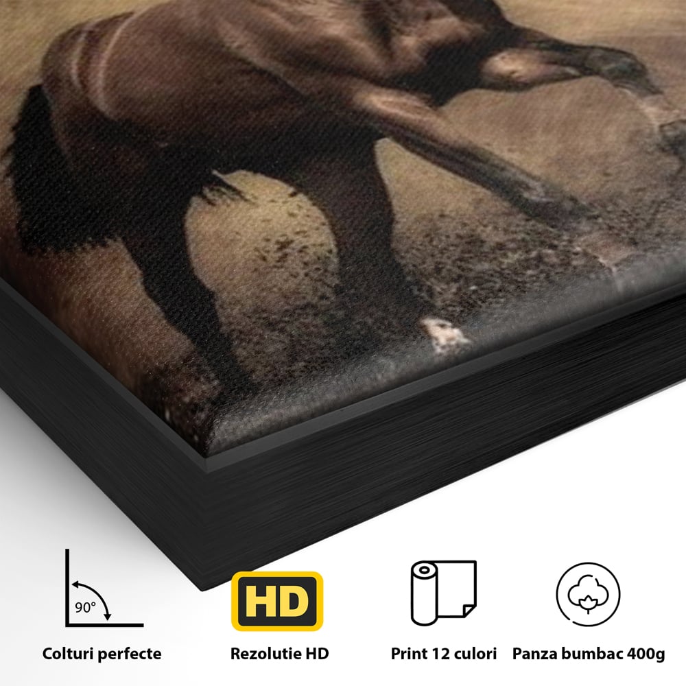 Detaliu al suprafetei: tablou canvas cu cal maro in galop, in rama de aluminiu negru